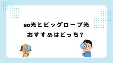 eo光とビッグローブ光の比較